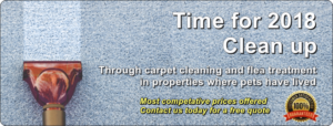 Bristol Carpet Cleaners