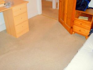 A freshly cleaned bedroom carpet